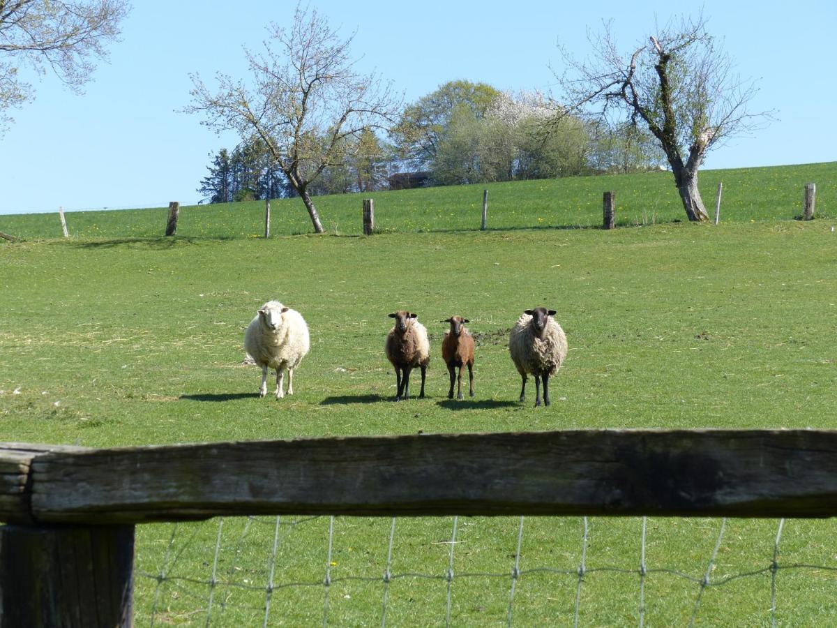 Xavers Ranch Meschede Exteriér fotografie