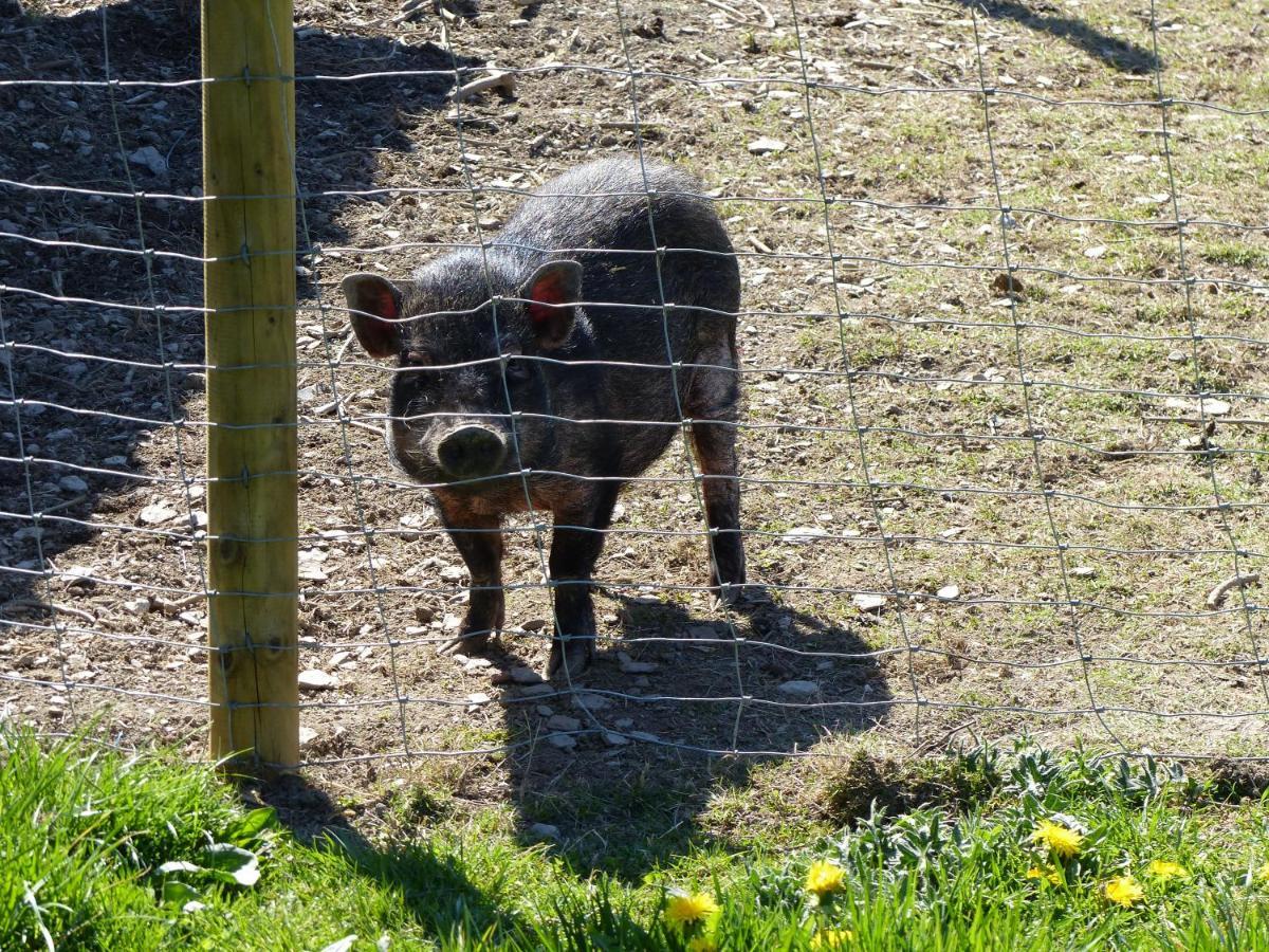 Xavers Ranch Meschede Exteriér fotografie